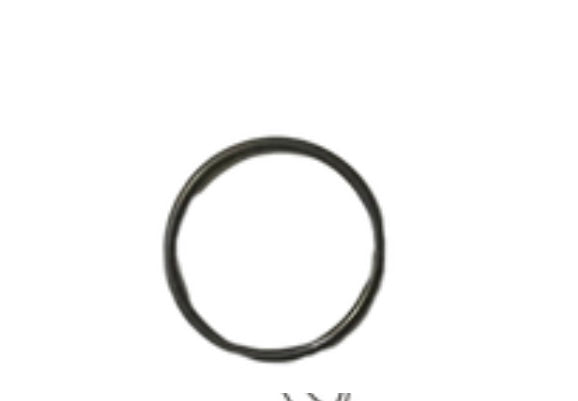 "O" RING (6203)
